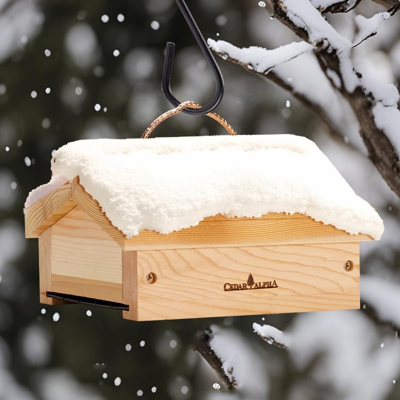 Upside Down Suet Feeder + Large Tree Hanger - Wild Bird Feeder with Ra