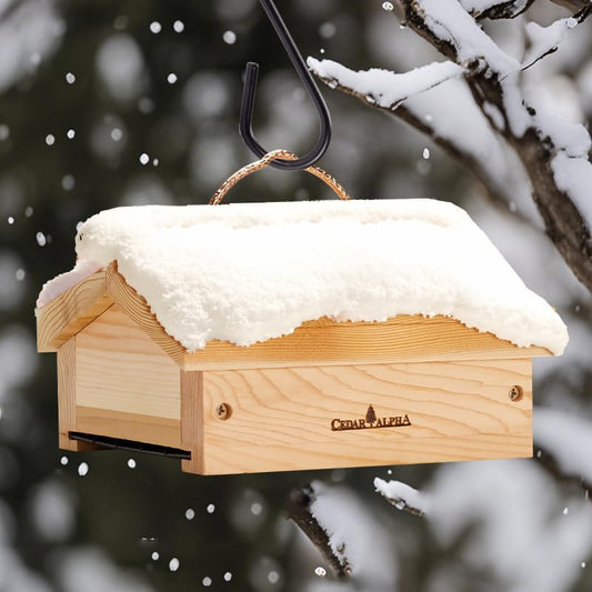 Upside Down Suet Feeder + Large Tree Hanger - Wild Bird Feeder with Ra