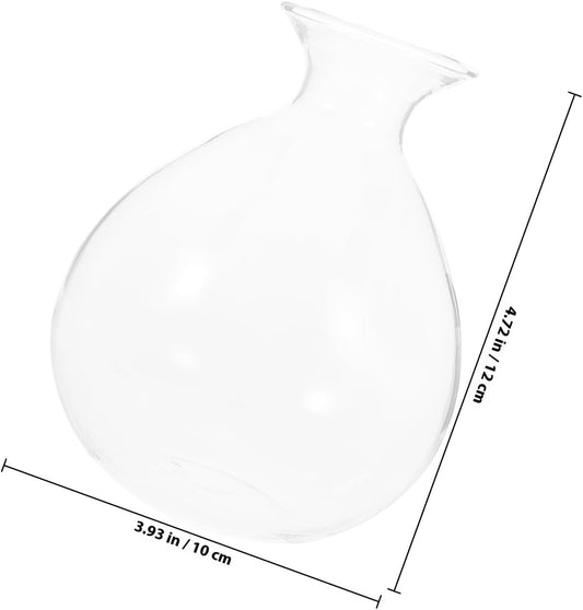 PRETYZOOM Avocado Seed Planter Glass Water Plant Vase Succulent Shape Hydroponic Flower Pot for Indoor Green Plant Propagation Home Décor