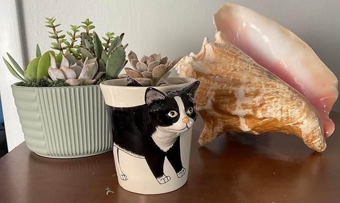Black Tuxedo Cat Coffee Mug & Mini Planter Pot – Ceramic Coffee Cup with 3D Cat Head Handle, Multi-Use Cute Novelty Tea Mug, Pencil Holder – Gift for Cats Lovers & Office Decor by SassyXpressions