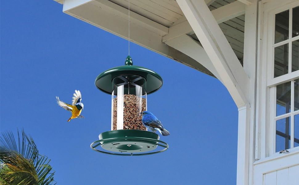 Bird Feeder for Outdoors, Holds 1.50LB Seeds,