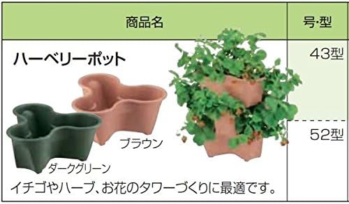 Richell Harbury Pot, Type 43, 15.7 x 14.6 x 6.3 inches (400 x 370 x