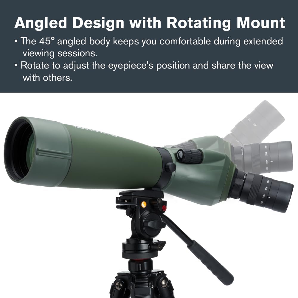Celestron – Regal M2 80ED Spotting Scope – ED Glass for Birding and Outdoor Activities – Phase and Dielectric Coated BaK-4 Prism – Fully Multi-Coated Optics – Dual Focus – 20-60x Zoom Eyepiece