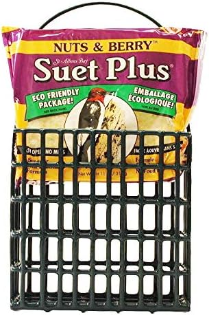 Wildlife Sciences Suet Feeder Cage Suet Cake Combo for Wild Birds | Includes 1 Suet Feeder and 11 Ounce Nuts and Berry Cake