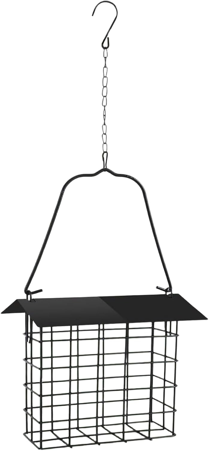 Pavilion - Ruby Throat Dispenser Toward Pollinator Feeding | Weather Shielded Iron Vessel Featuring Leak Guard Portals & Hanging Chain Toward Gardens, Backyards, Verandas, Decks