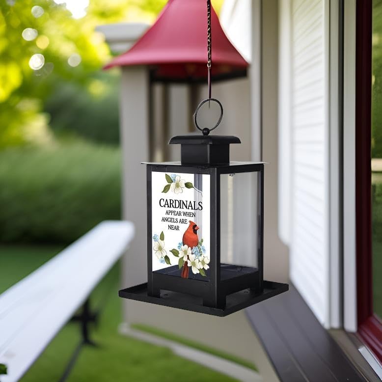 The Bridge Collection Cardinals Appear Bird Feeder - Memorial Window Bird Feeder with Glass Panes, Metal Basket Design for Indoor/Outdoor Use - A Sympathetic Gift to Remember Loved Ones