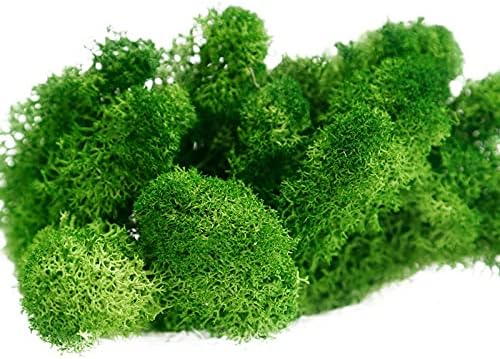 500G Simulation Plants Eternal Life Moss Garden Home Decor Wall DIY Flower Material Mini Garden Micro Landscape Fake Moss (Grass Green)