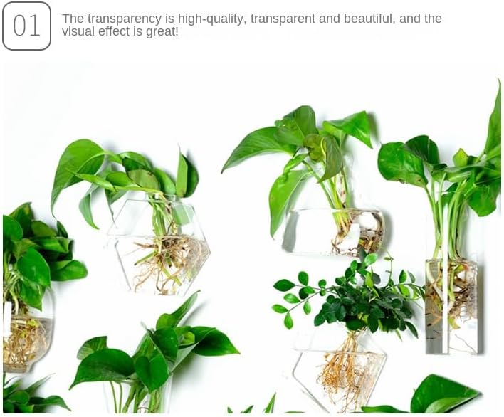 Wall Hanging Glass Plant Terrarium Container Perfect for Propagating Hydroponic Plants Home Office Garden Decor Wedding (Lantern (Width 10 and Height 14 cm))