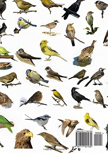 Bird Watching Notebook: Logbook Journal Diary | Gifts For Birdwatchers Birdwatching Lovers | Log Wildlife Birds, List Species Seen & More | Great Book For Adults & Kids