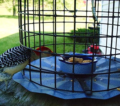 Erva Starling-Proof Barrier Guard Bluebird Feeder with Glass Mealworm Cup - Premium Blue Powdercoat Finish - Made in USA (BBF1)