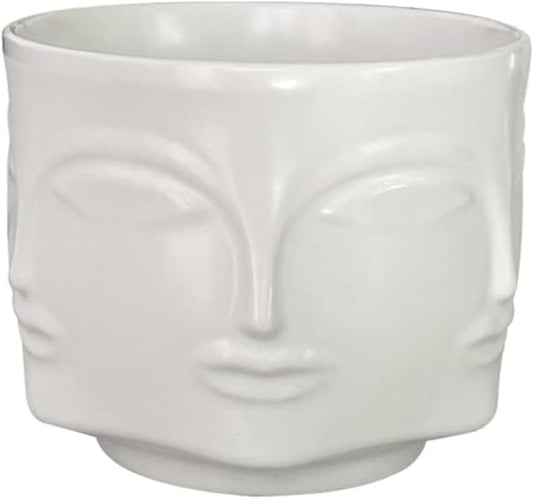 Face-Shaped Vase Ceramic Planter Head Face Modern Indoor Flowers Plant Pot Creative Human Face Statue Decoration Flower Pot Bedroom Living Room Office (White)