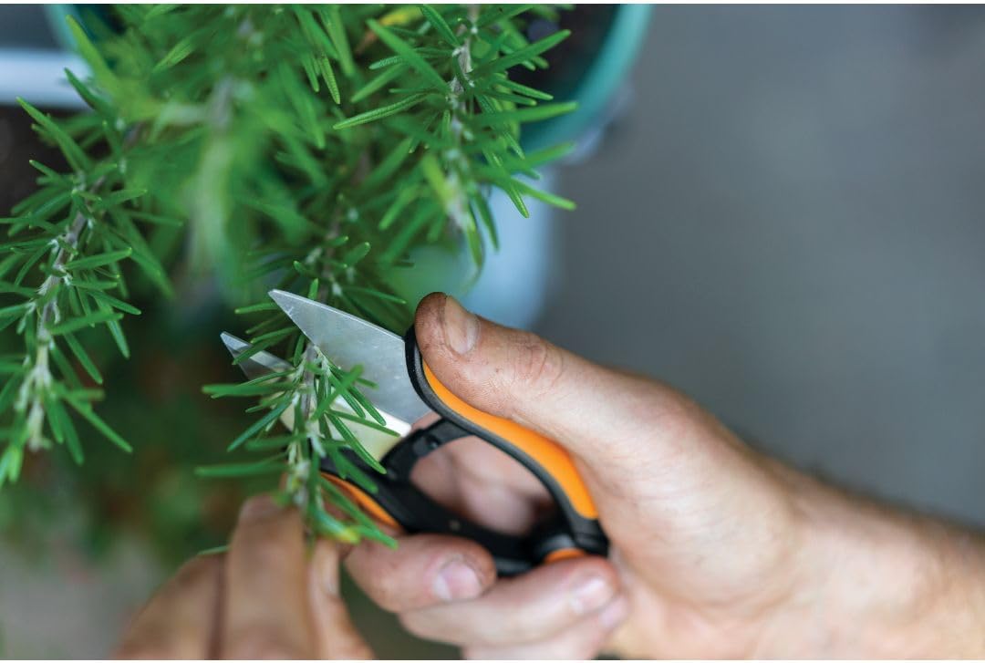 Fiskars Herb Garden Scissors, 5" Garden Shears, Handheld Herb Snips wi
