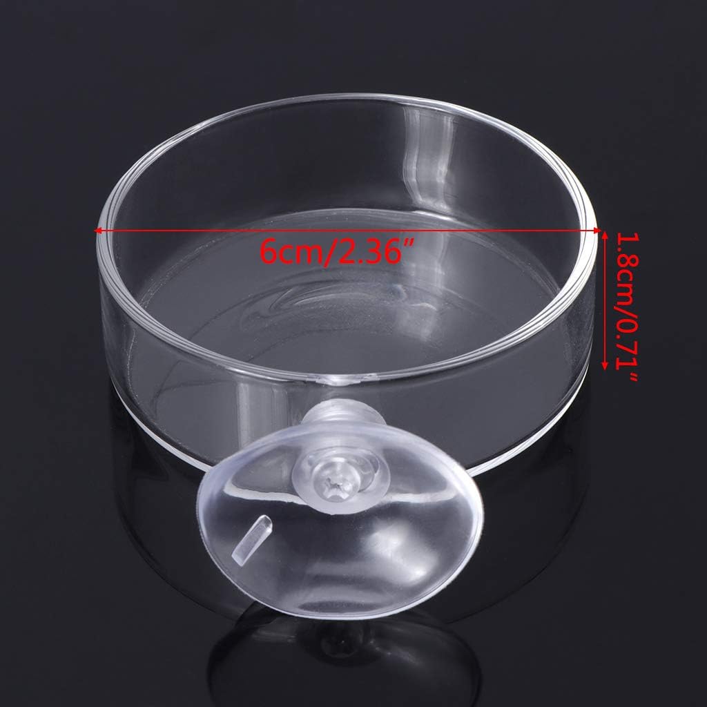 Aquarium Shrimp Feeding Dish with Suction Cup High Transparent Glass Bottom Feeder Food Bowl 2.4x0.7 Inch Round Tray Glass, As Pic Shows