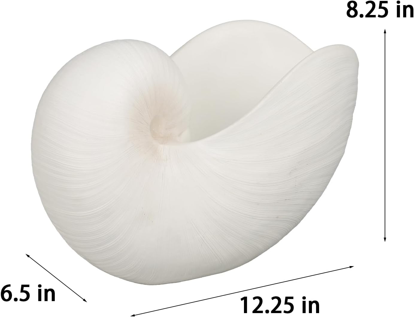 Braxio Modern Home Decor Sea Shell - Beach Themed Statue Resin Conch Shape Dish for Keys, Rings, or Succulent Planter - Coastal Decorative Bowls for Bathroom, Living Room, 12.25 x 6.25 x 8.25 Inch