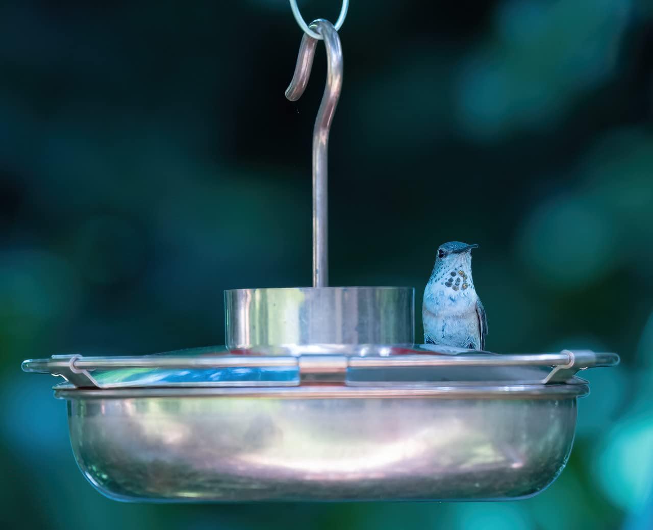 Stanwood Wind Sculpture -Pure Copper Hummingbird Feeder