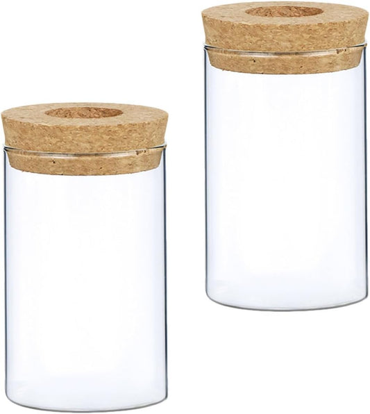 PRETYZOOM 2pcs Decorative Glass Vase with Wooden Cork Small Hydroponics Flower Pot for Indoor Greenery Stylish Planter for Home and Office Decor