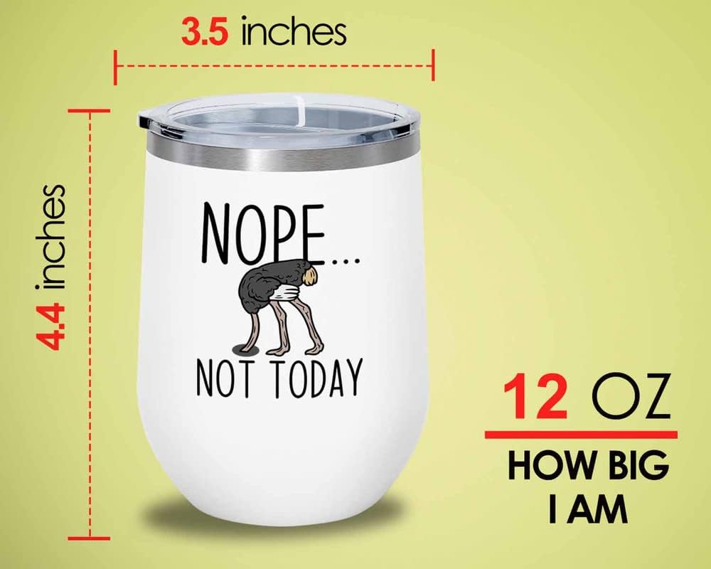 Bird Lover White Edition Wine Tumbler 12oz - Nope not Today - Hummingb