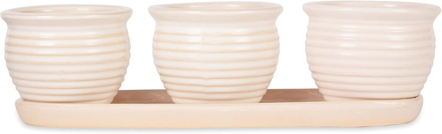 DII Ceramic Planter Collection Herb Pot Set, Cream Round, 13x75x4.5x4