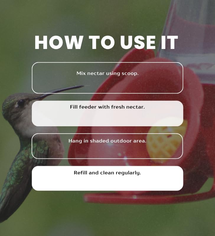 Perky-Pet Hummingbird 30 oz Plastic Nectar Bird Feeder 6 Ports Bundle with Pet Food Scoop – Wide-Mouth Design for Easy Filling, Red Base with Yellow Accents, 6 Feeding Stations – Gift Set (2 Items).