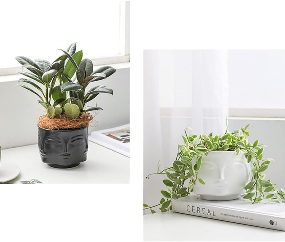 Face-Shaped Vase Ceramic Planter Head Face Modern Indoor Flowers Plant Pot Creative Human Face Statue Decoration Flower Pot Bedroom Living Room Office (White)