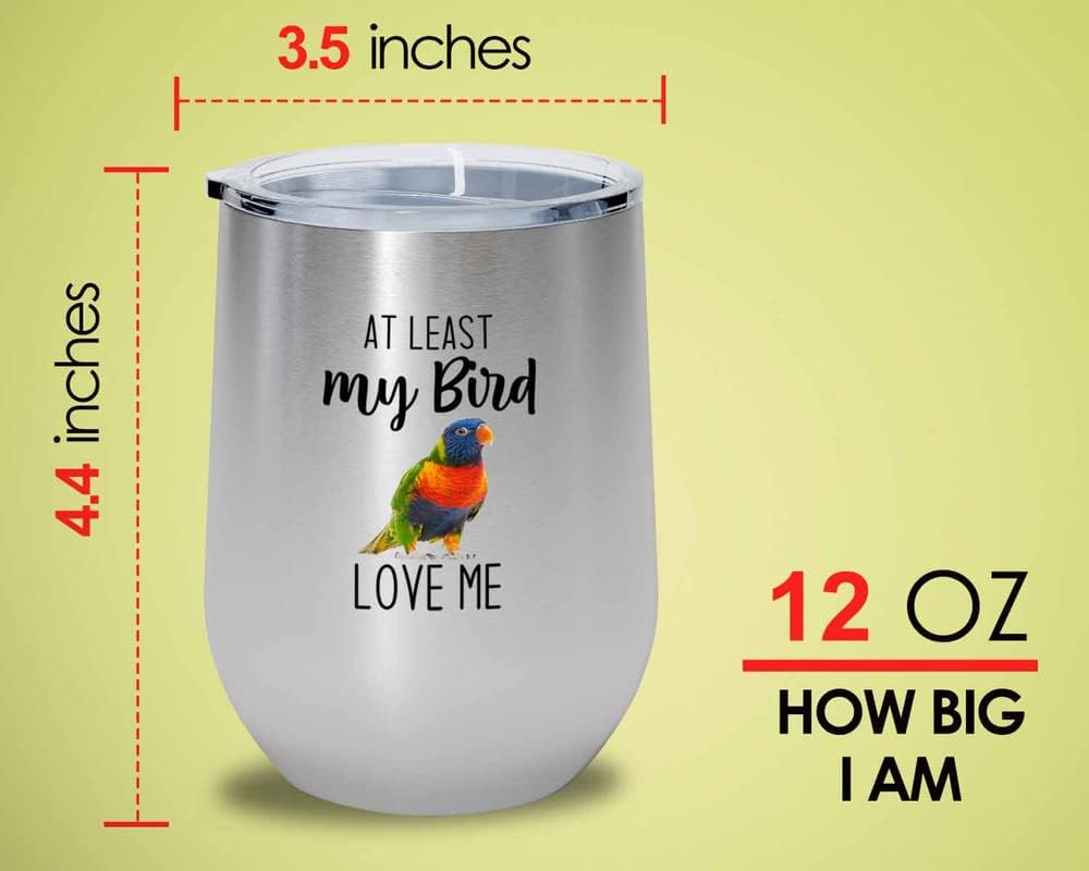 Bird Lover Silver Edition Wine Tumbler 12oz - Bird loves me - Hummingb