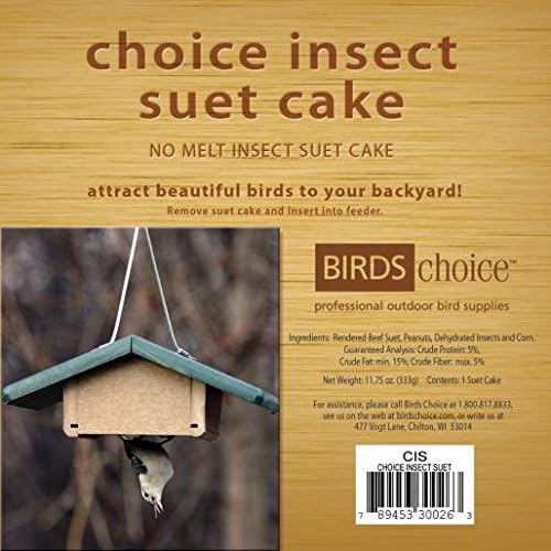 Naturesroom Poly-Lumber Prop Suet Feeder for Birds - Include 2 Bonus Suet Cake Cage Feeder Packs -Premium Insect and Peanut Suet Cakes for Feeder Basket Holder, Green/Brown, 12"L x 8"W X 3"D (sntp)