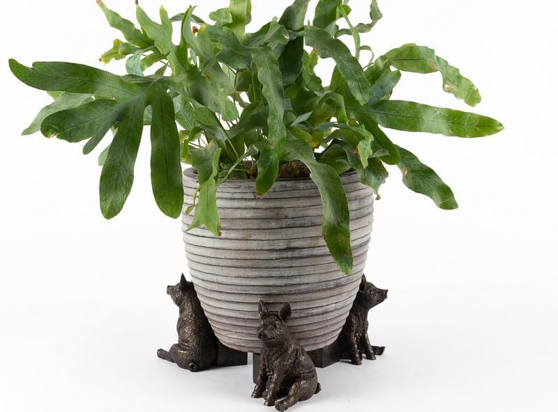 Jardinopia Pig Plant Pot Feet - Set of 3 - L8 x W6 x H9 cm