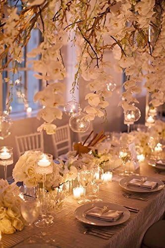 24 Pcs 3.15"/ 8cm Hanging Glass Tealight Holder Globe, Package Improved Plant Terrariums Glass Orbs Air Plants Tea Light Candle Holders, Home Decor Indoor Outdoor Garden (With 2 Holes, 20 Pcs + 4 Pcs)