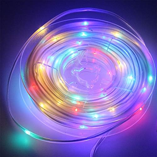100 LEDs Rope Tube Fairy Garden Lights Solar Licht LED String Lights Solar Lamp Outdoor Waterproof Solar (Color : Multicolor Size : 5M 50LED) (Multicolor 10M 100LED)