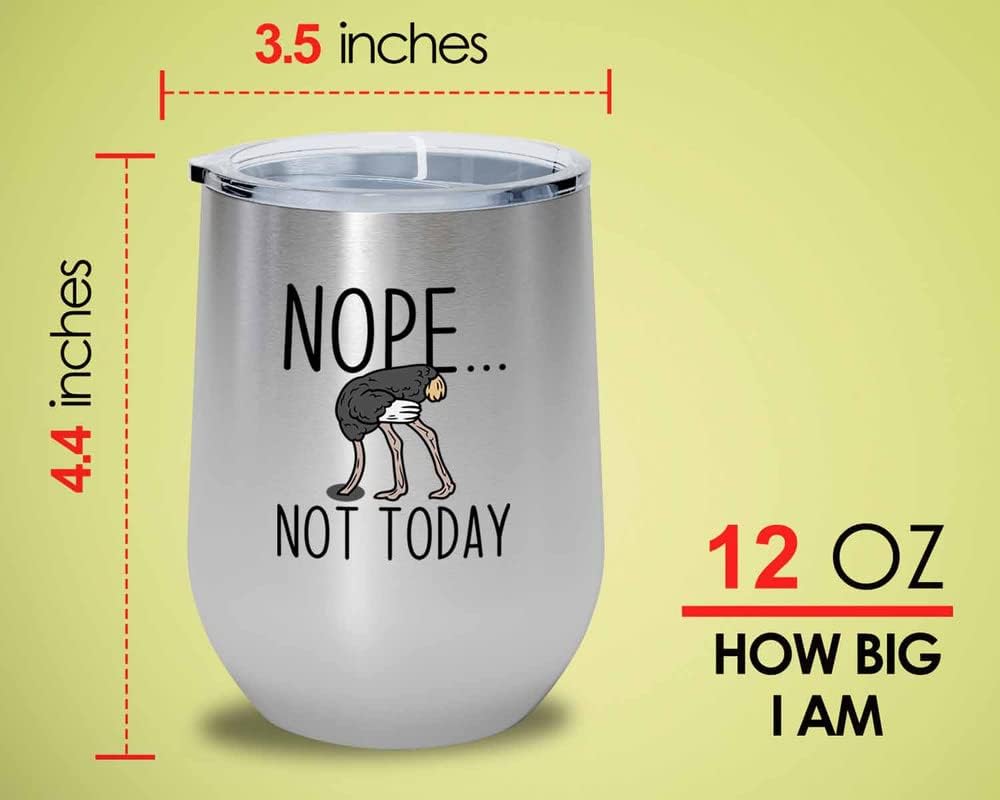 Bird Lover Silver Edition Wine Tumbler 12oz - Nope not Today - Humming