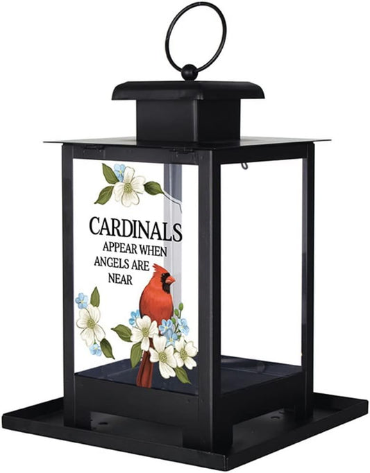 The Bridge Collection Cardinals Appear Bird Feeder - Memorial Window Bird Feeder with Glass Panes, Metal Basket Design for Indoor/Outdoor Use - A Sympathetic Gift to Remember Loved Ones