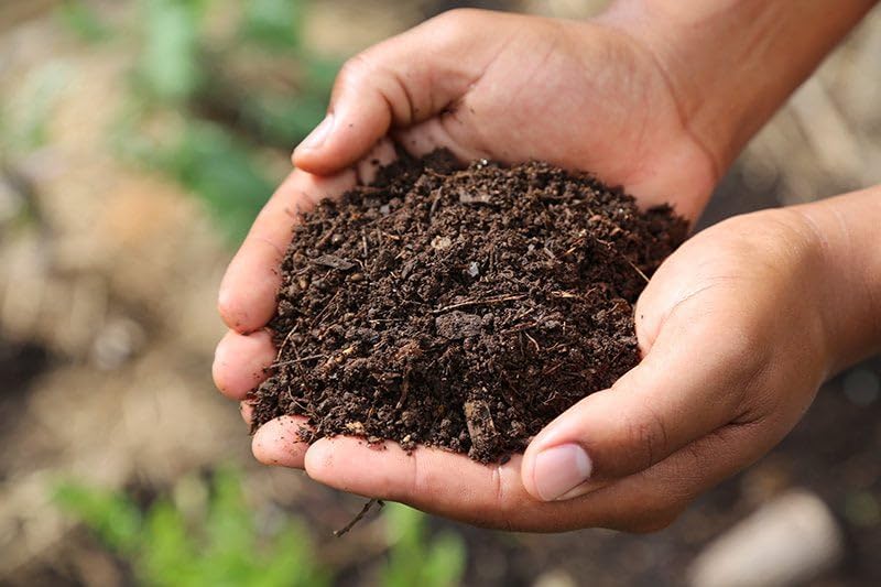 Park Seed Nature’s Aid Garden Soil Inoculant – Enhances Soil Fertility
