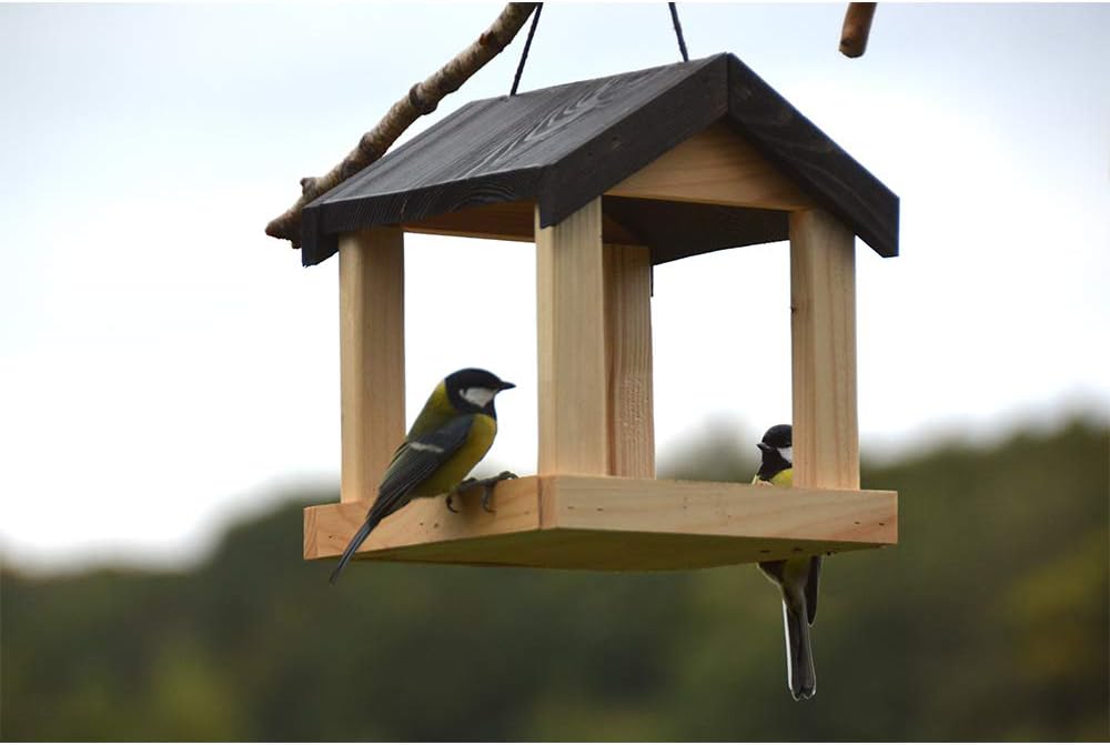 Esschert Design FB463 Hanging House-Shaped Wood Bird Feeder with Rope