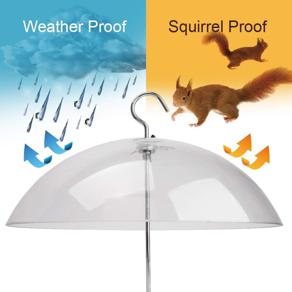 Solution4Patio Baltimore Oriole Feeder, Orange Halves Fruit & Grape Jelly, and Mealworm for Bluebirds, Weather Guard Squirrel Baffle #G-B312A00-US
