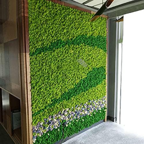 500G Simulation Plants Eternal Life Moss Garden Home Decor Wall DIY Flower Material Mini Garden Micro Landscape Fake Moss (Grass Green)
