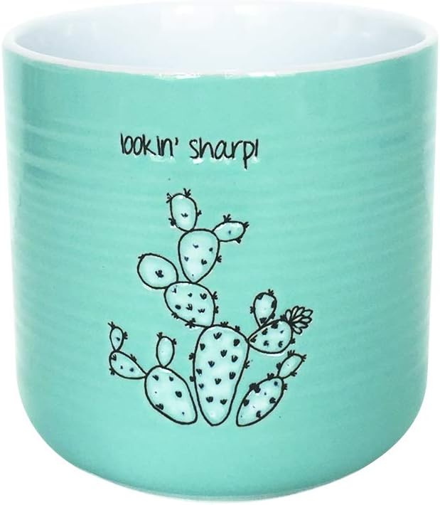 Sanora Cactus 4'' Flower Pot