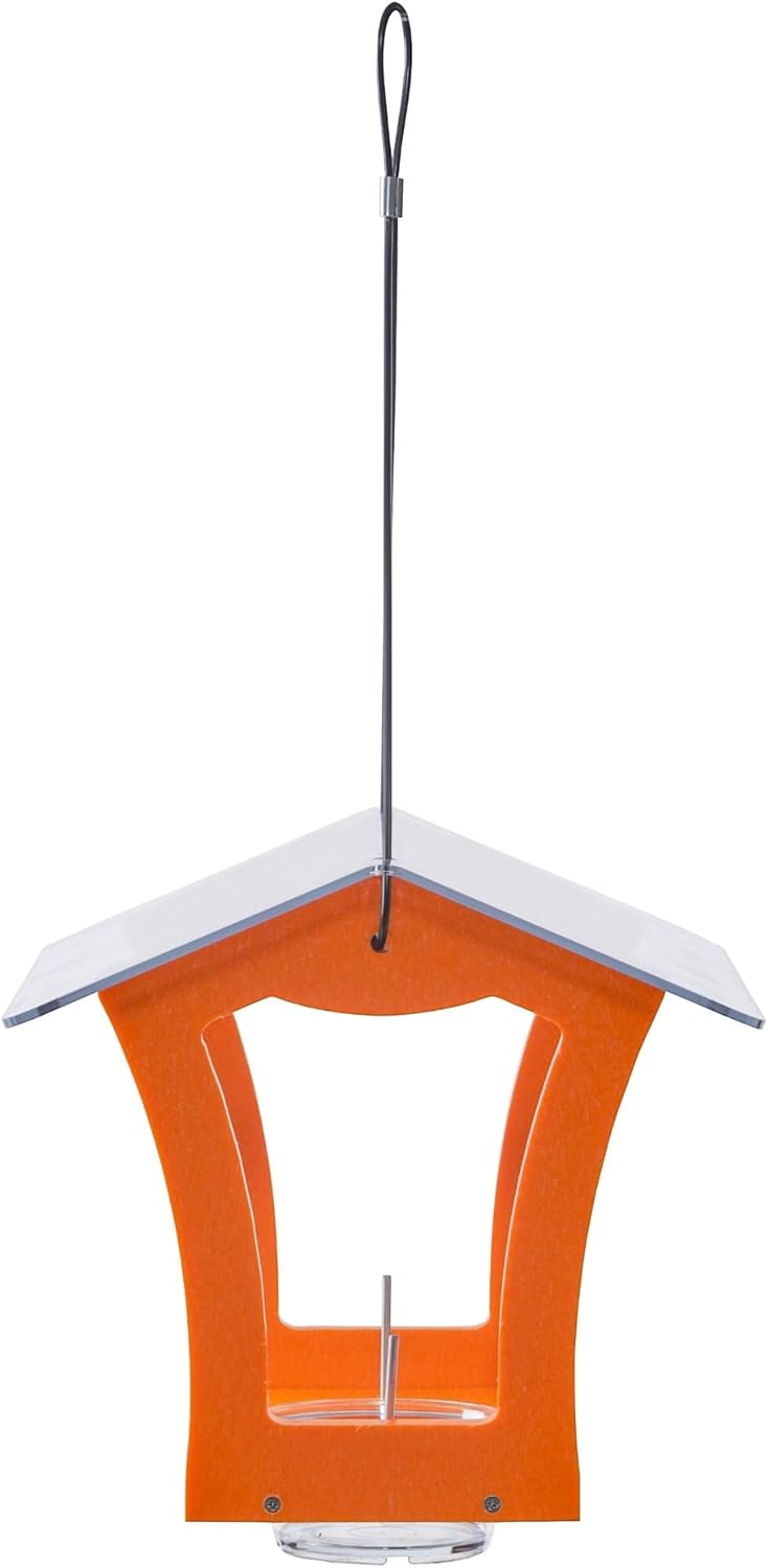 Birds Choice Oriole Bird Feeder | Hanging Bird Feeder for Jelly & Oran