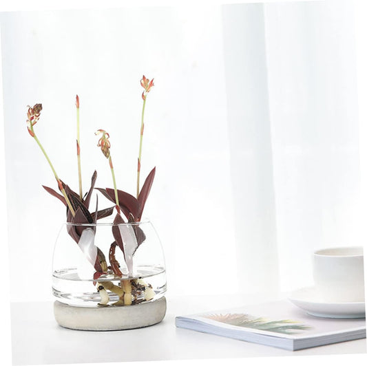 PRETYZOOM Cement Bottom Glass Vase Flower Container Decor Modern Hydro