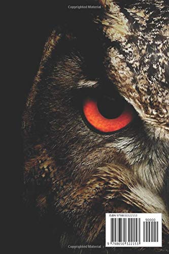 BIRD WATCHING LOG BOOK: BIRDING JOURNAL | BIRDER'S NOTEBOOK | RECORD BIRD SIGHTINGS AND LIST SPECIES | PERFECT GIFT FOR BIRDWATCHERS | OWL COVER