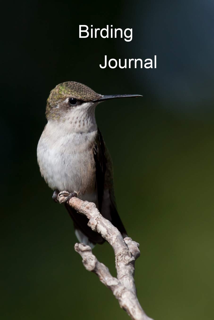 Birding Journal: A Bird Watching Log Book