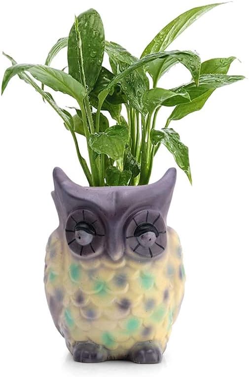 Deco Alankaram Presents Home Decor and Home Decorative Owl Shaped Polyresin Planter Pot/Vase for Office Reception, Living Room, Perfect for Gifting #Frienemy-1024