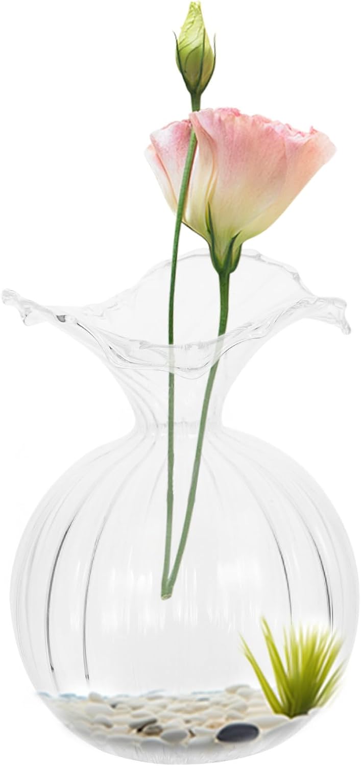 Glass Hydroponic Vase Small Glass Planter Pot for Succulent Flowers Wedding Floral Centerpiece Home Decor