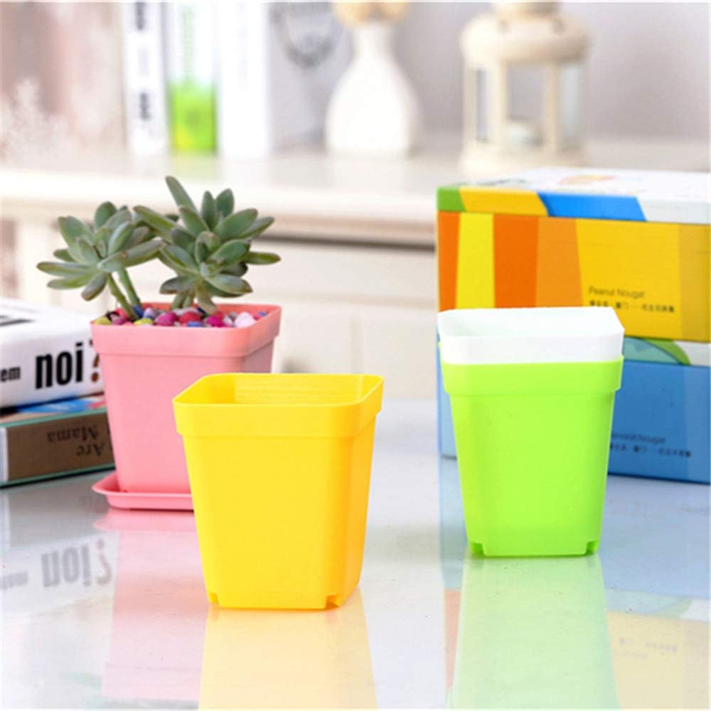 24 Pack 3inch Multi Color Square Plastic Plant Pots,Seedling Nursery T