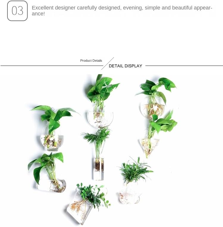 Wall Hanging Glass Plant Terrarium Container Perfect for Propagating Hydroponic Plants Home Office Garden Decor Wedding (Lantern (Width 10 and Height 14 cm))