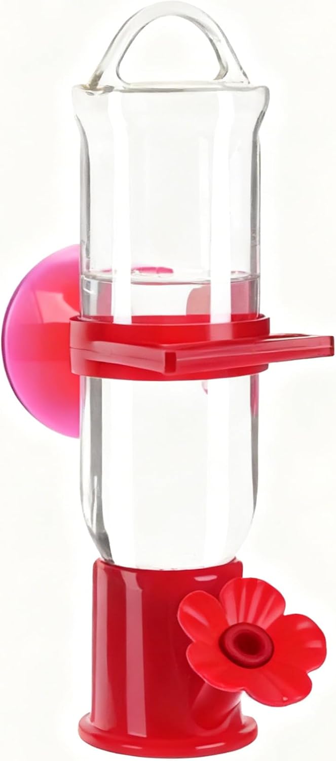 Hummingbird Feeder Window - 2 Pack Clear Suction Cup Waterer, Flower Ports Design Small Feeder, Bird Watching Accessory for House, Garden, Balcony, Outdoor Winter Viewing