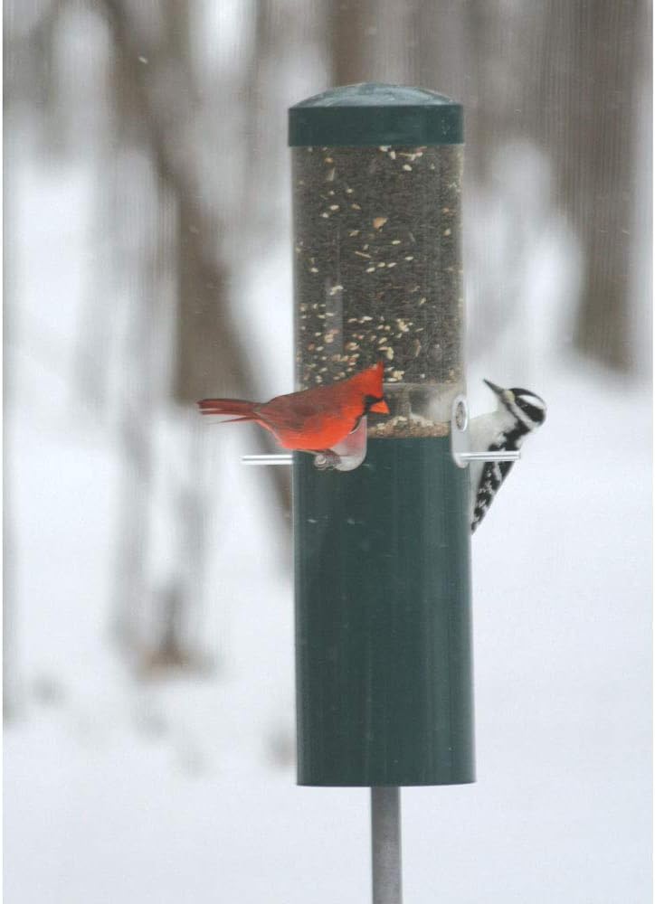 Birds Choice Classic Squirrel Proof Bird Feeder with Pole Mount | Tube Bird Feeder for Cardinals, Chickadees, Woodpeckers | Sturdy Steel for Long-Lasting Use | Backyard Bird Seed Dispenser | Green