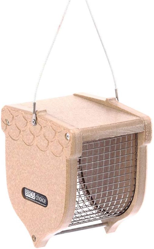 Birds Choice ACORN Peanut Feeder, Acord-Shaped Bird Feeder, 1 Quart, Taupe