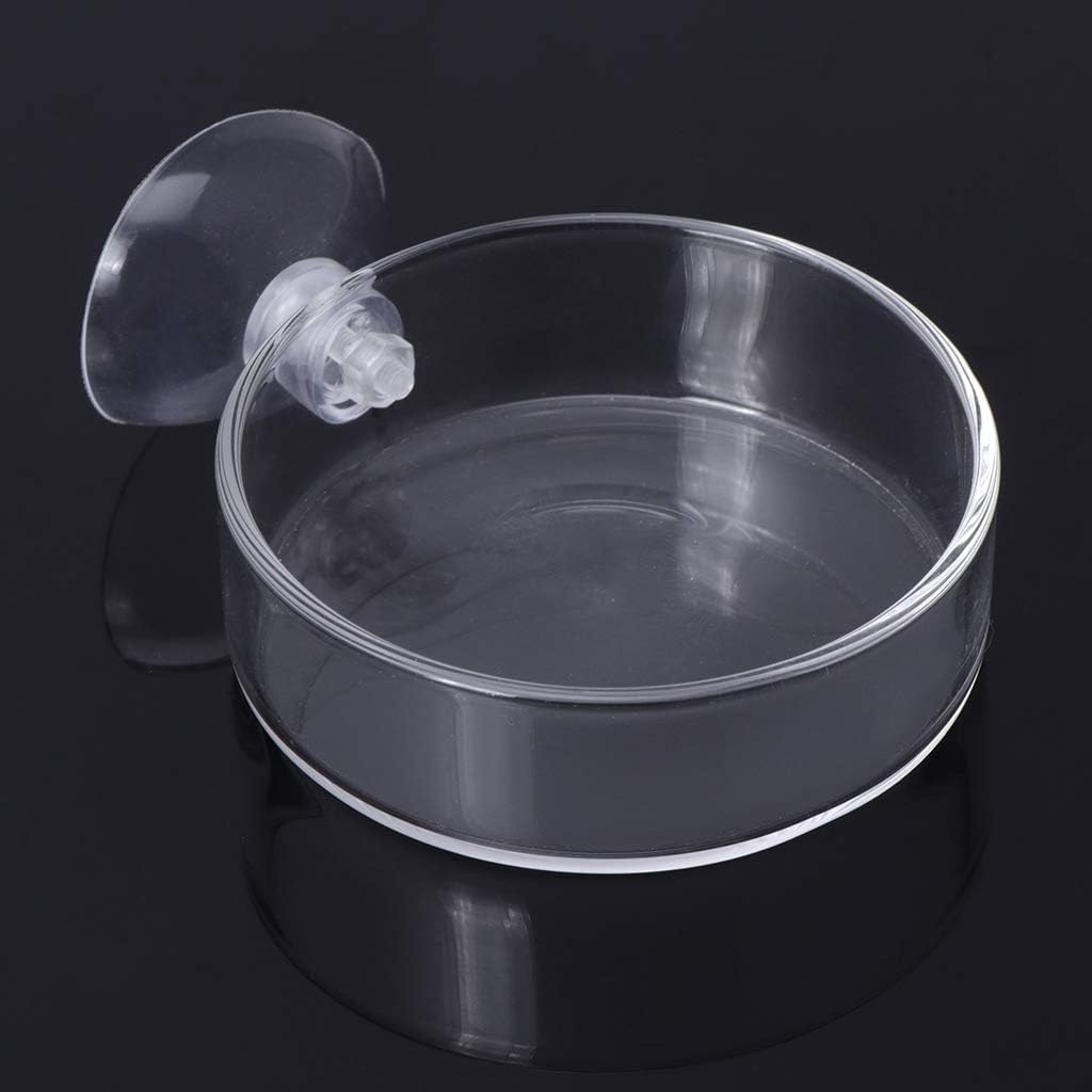 Aquarium Shrimp Feeding Dish with Suction Cup High Transparent Glass B