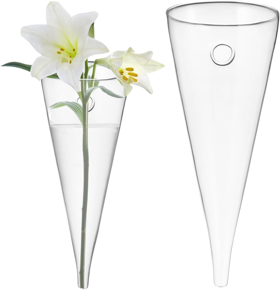 Cabilock Wall Planter Propagation Stations, Clear Glass Wall Hanging Plant Terrarium, Circular Cone Propagation Vase for Hydroponic Plants Flowers, Bathroom Home Office Living Room Decor