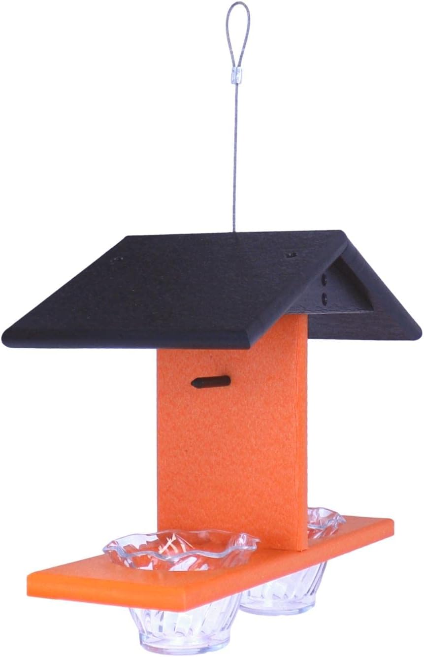 AmishToyBox.com Oriole Bird Feeder, Double-Cup Jelly Oriole Feeder with Pegs for Orange Halves (Black/Orange)
